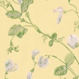 Meet your Posher, Kaela